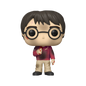 FUNKO POP! HARRY POTTER: Anniversary - Harry with The Stone